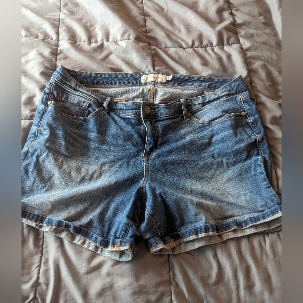 Torrid Shorts